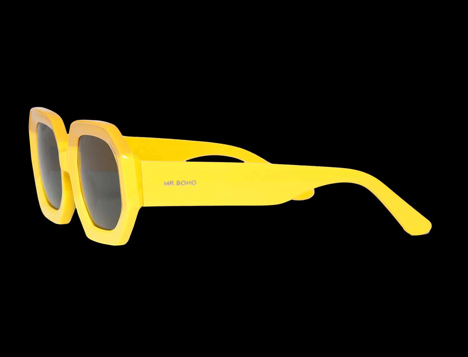 SUNNY SAGENE WITH CLASSICAL LENSES - miniatura 3