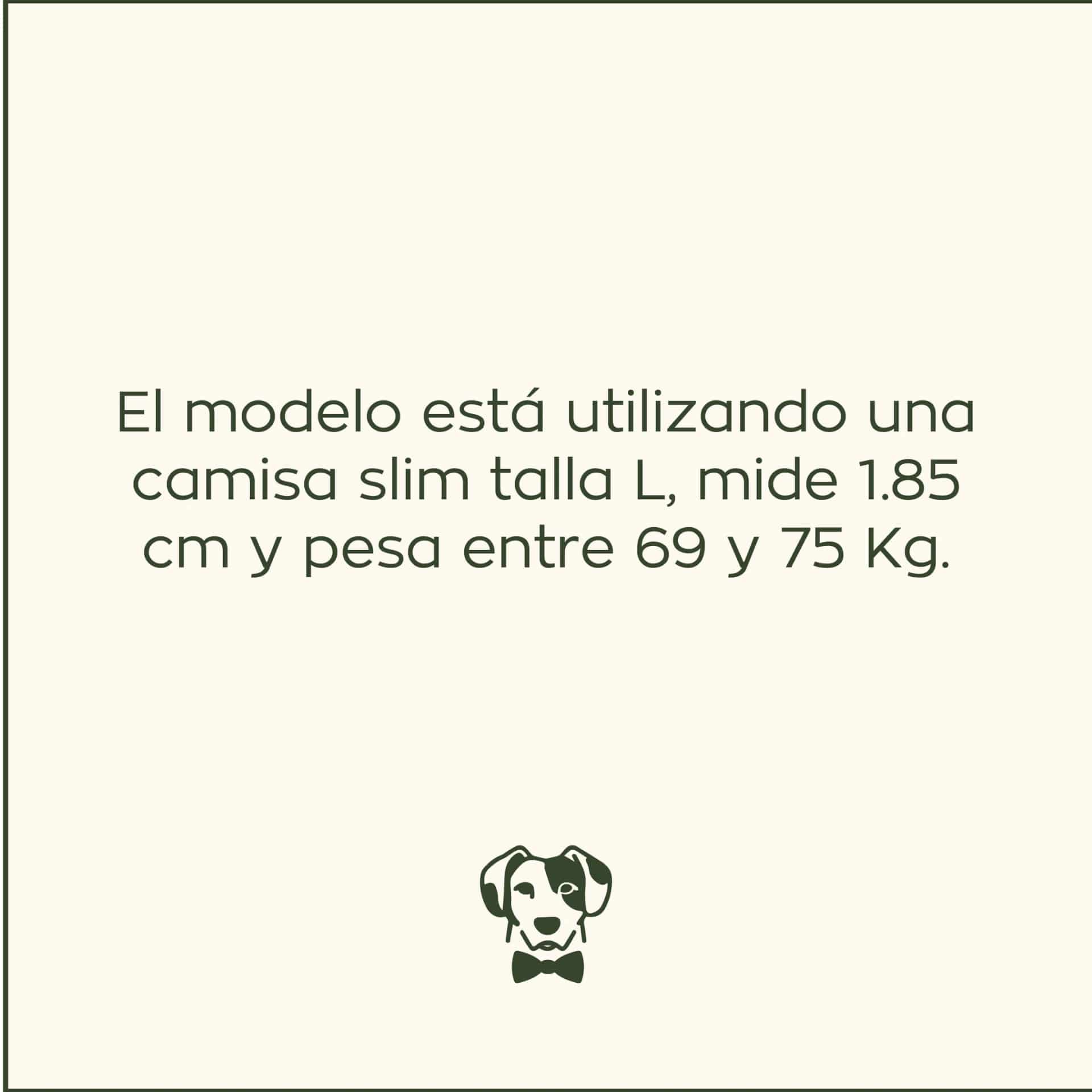 Camisa Antimanchas Oxford Gris - Talla Slim - miniatura 6