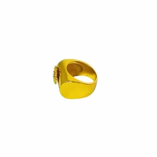 Anillo Mountain - miniatura 2