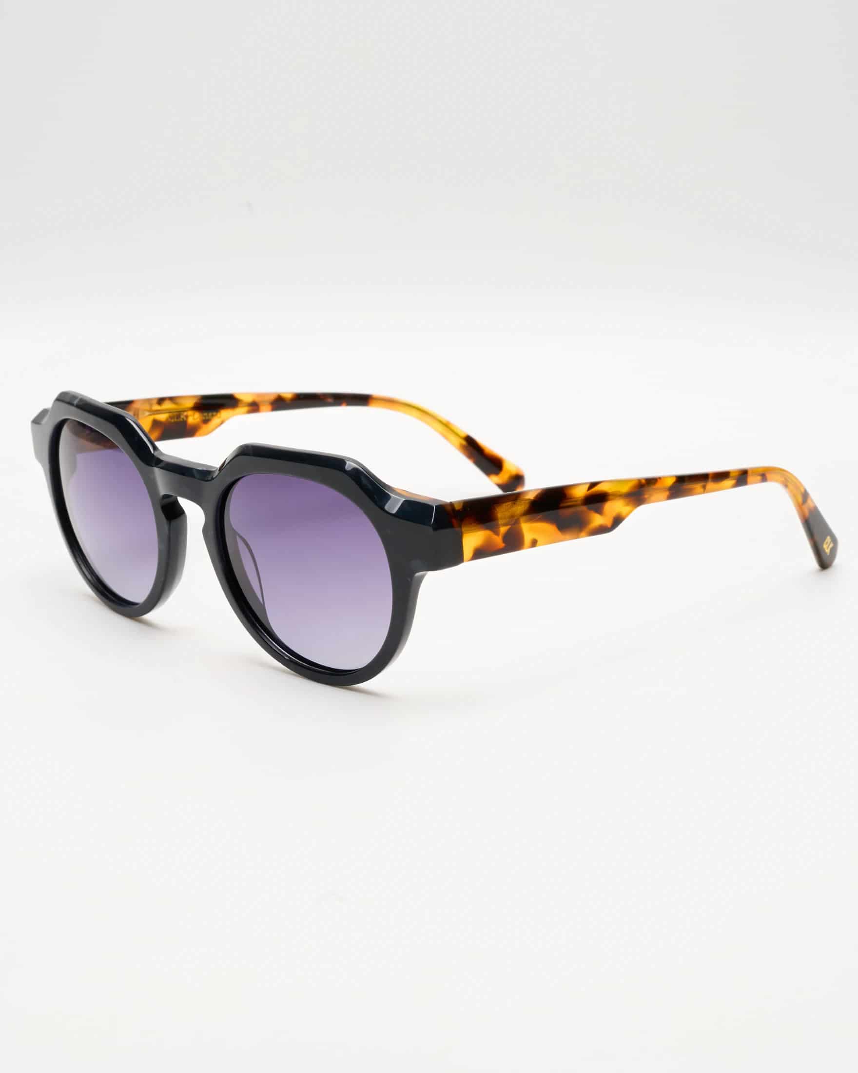 LENARD - BLACK TORTOISE / SMOKE - miniatura 1