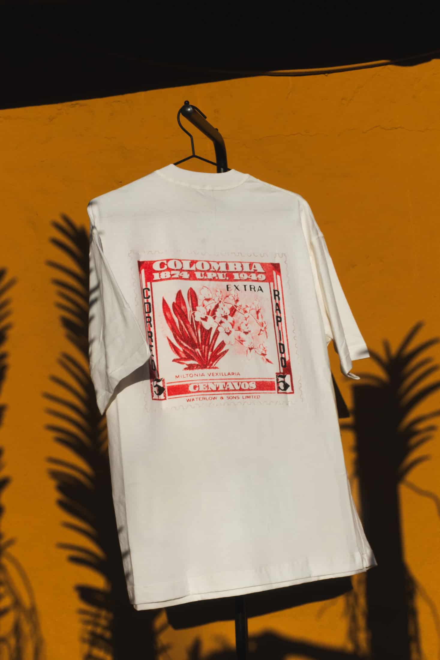 Camiseta Oversized – Miltonia Vexillaria - miniatura 2