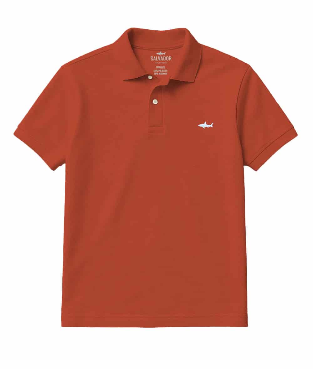 CAMISETA POLO TERRACOTA - miniatura 1