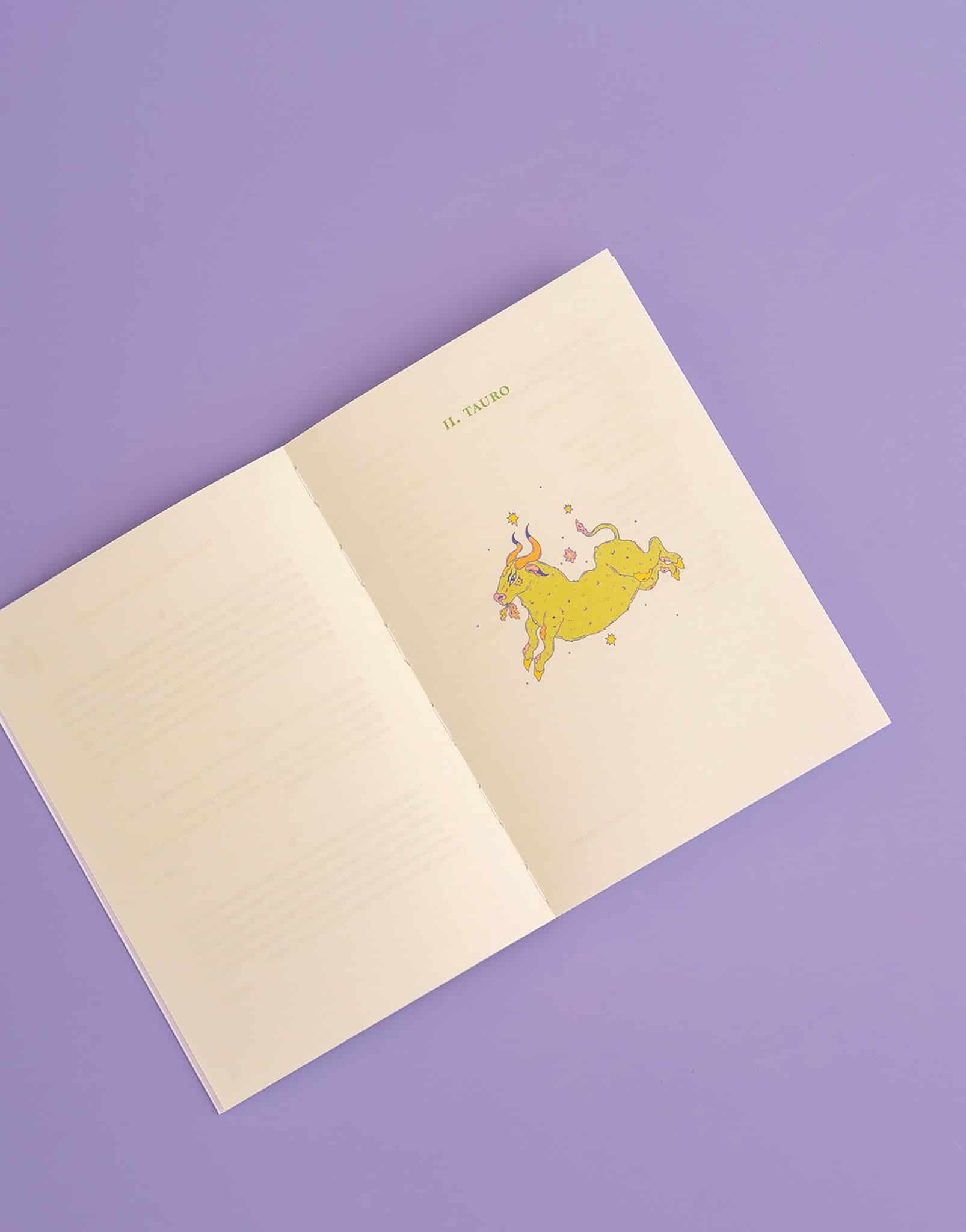 LIBRO ESCRIBIR EL CIELO - miniatura 2