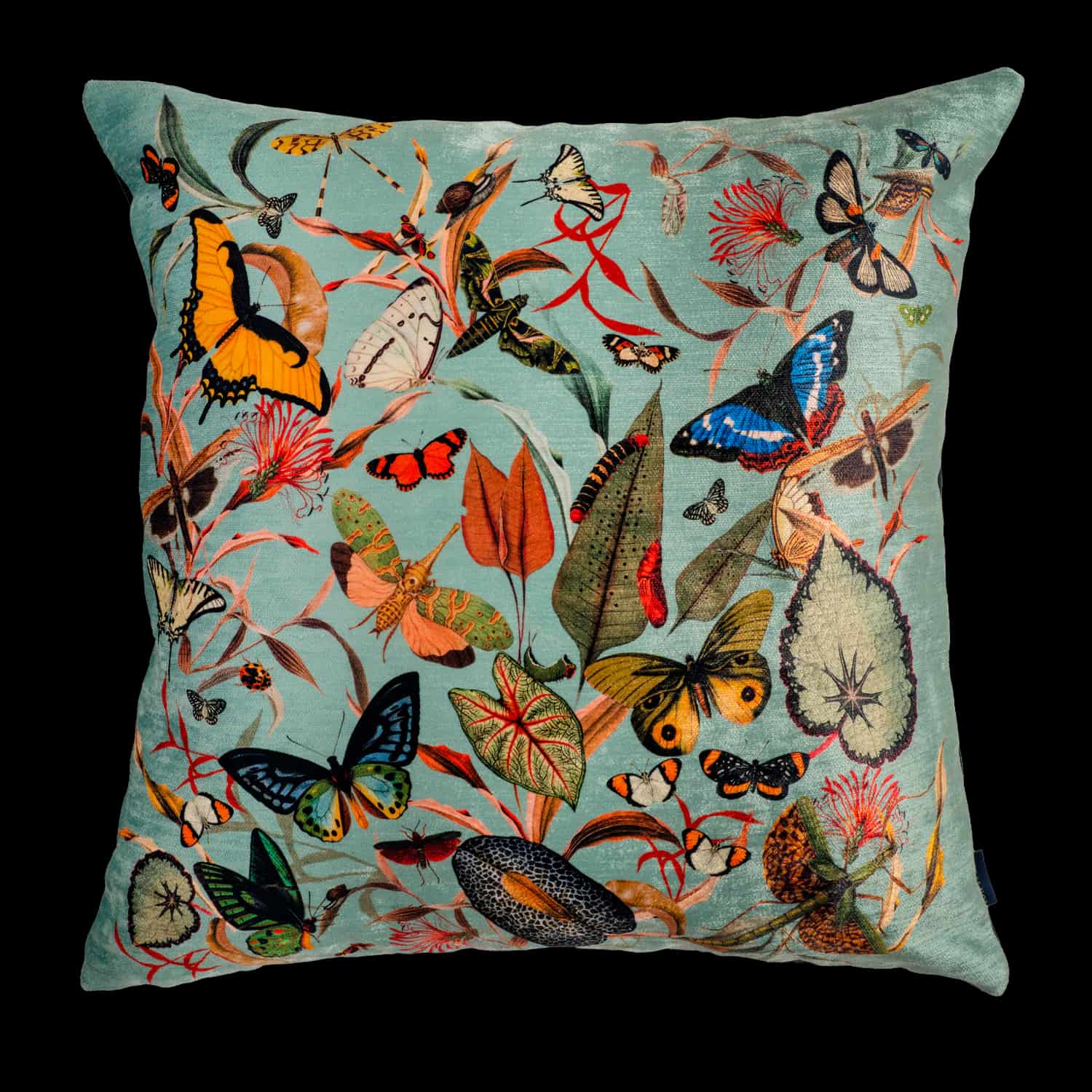 Cojin - Butterfly Aqua - miniatura 1