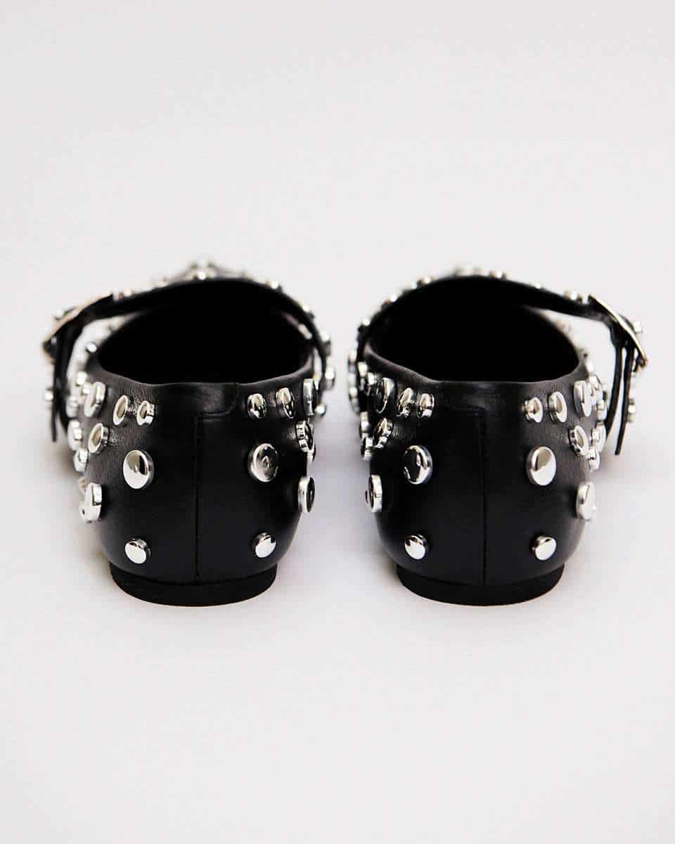 POINTER FLATS BLACK - miniatura 7