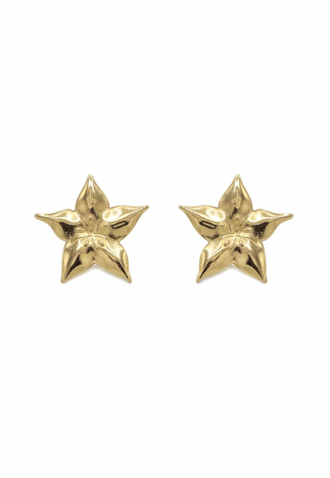 Baby Carambola Studs - miniatura 1