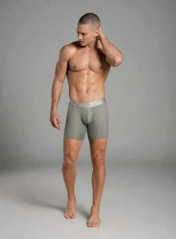 BOXER LARGO MICROFIBRA ZEUS


TALLA S - M - L - XL - miniatura 2