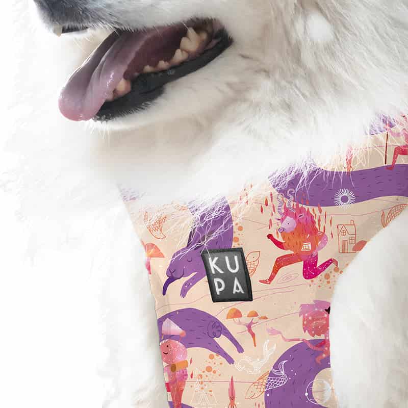 Pechera para mascotas Chía Viajerxs Astrales - miniatura 2