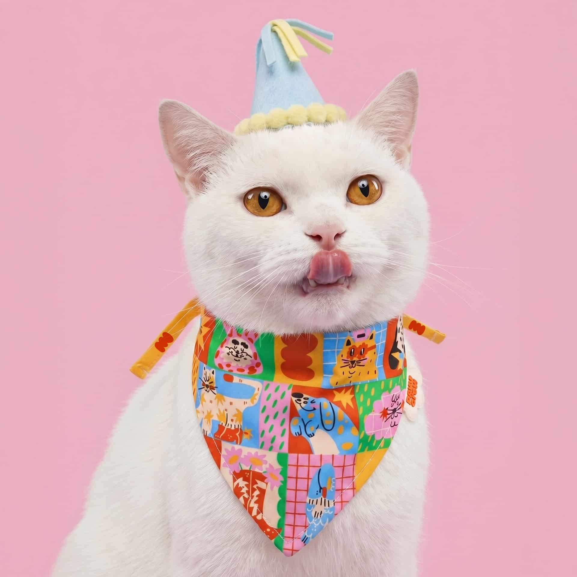 🎈✨ Pañoleta Party - miniatura 1