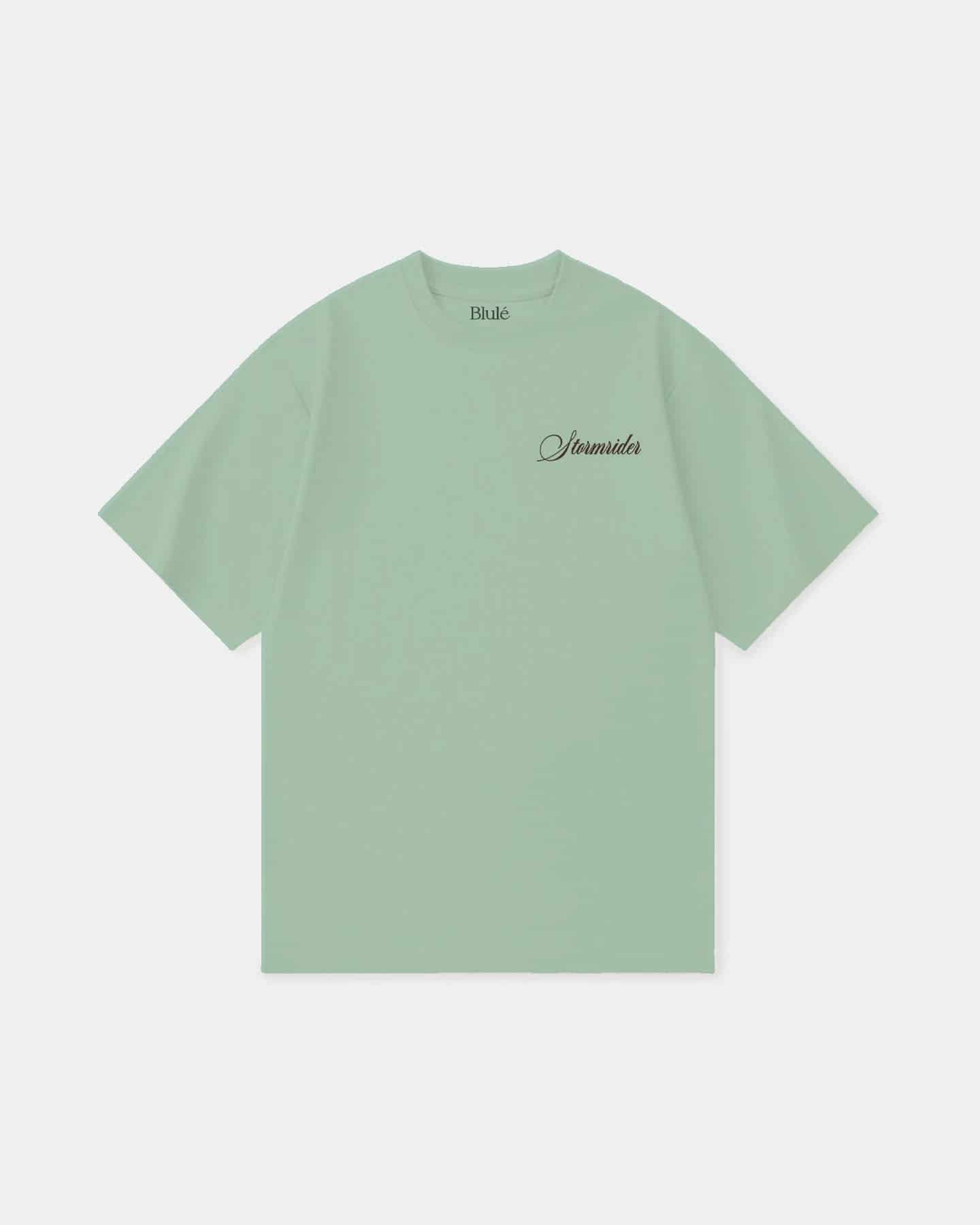 Oversized T Shirt Stormrider Light Green - miniatura 2