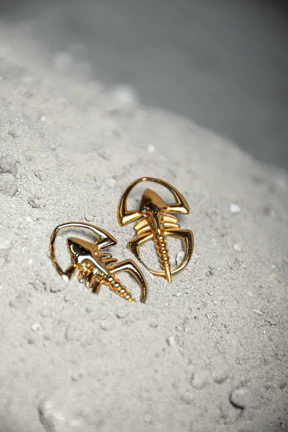 Aretes Pagetia - miniatura 2