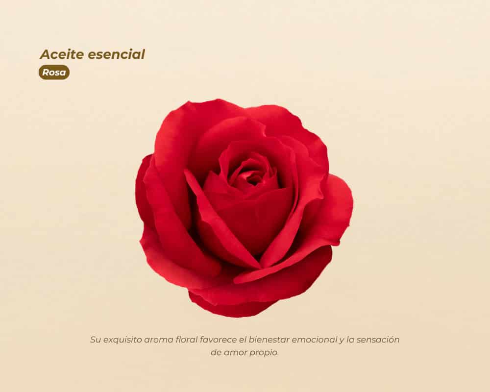 Aceites Esenciales 100% Puros para aromaterapia y bienestar - miniatura 16