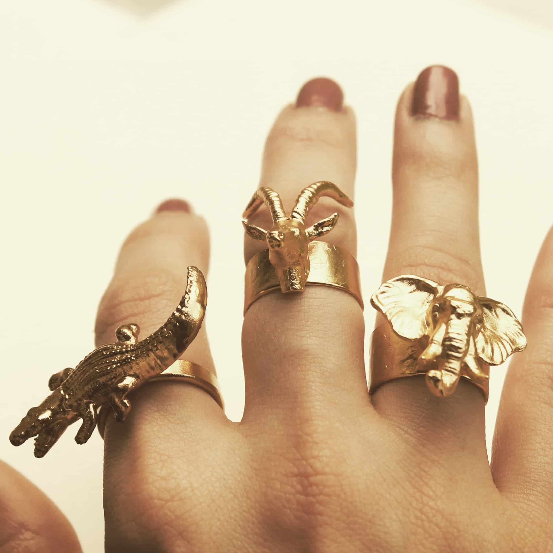Anillo de cocodrilo - miniatura 4