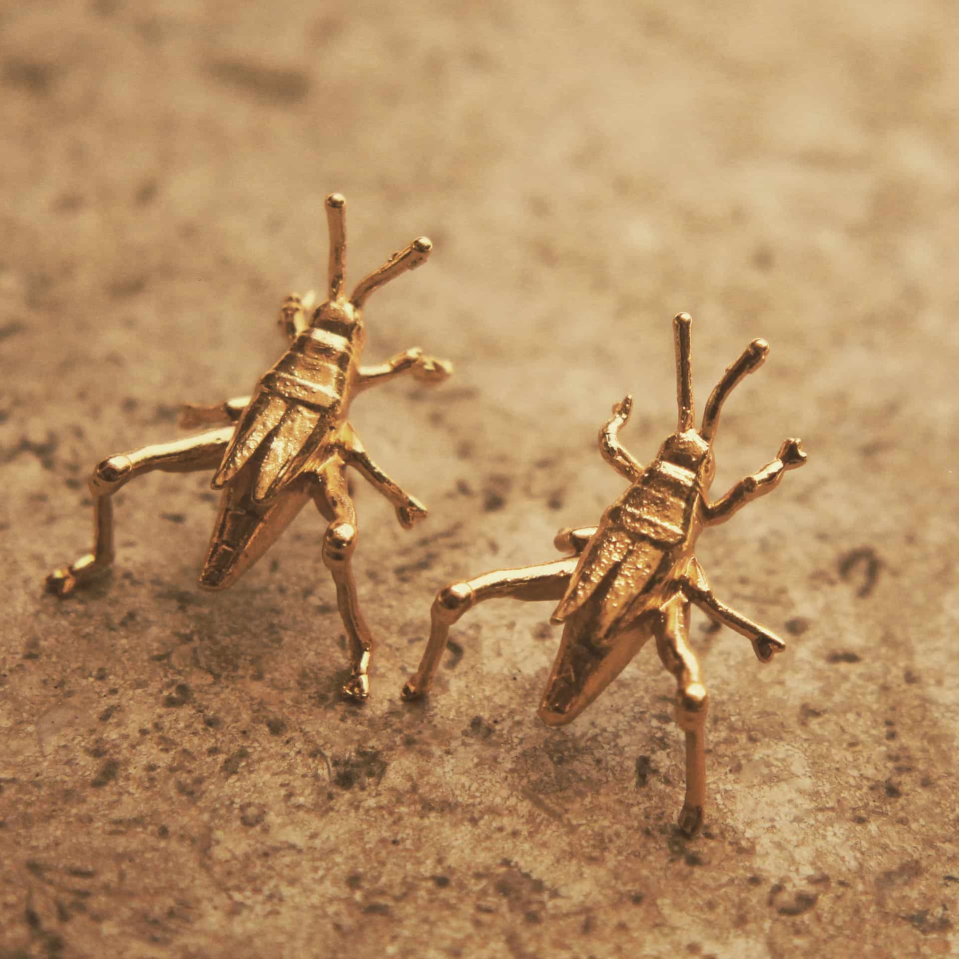 Aretes de saltamontes medianos - miniatura 3