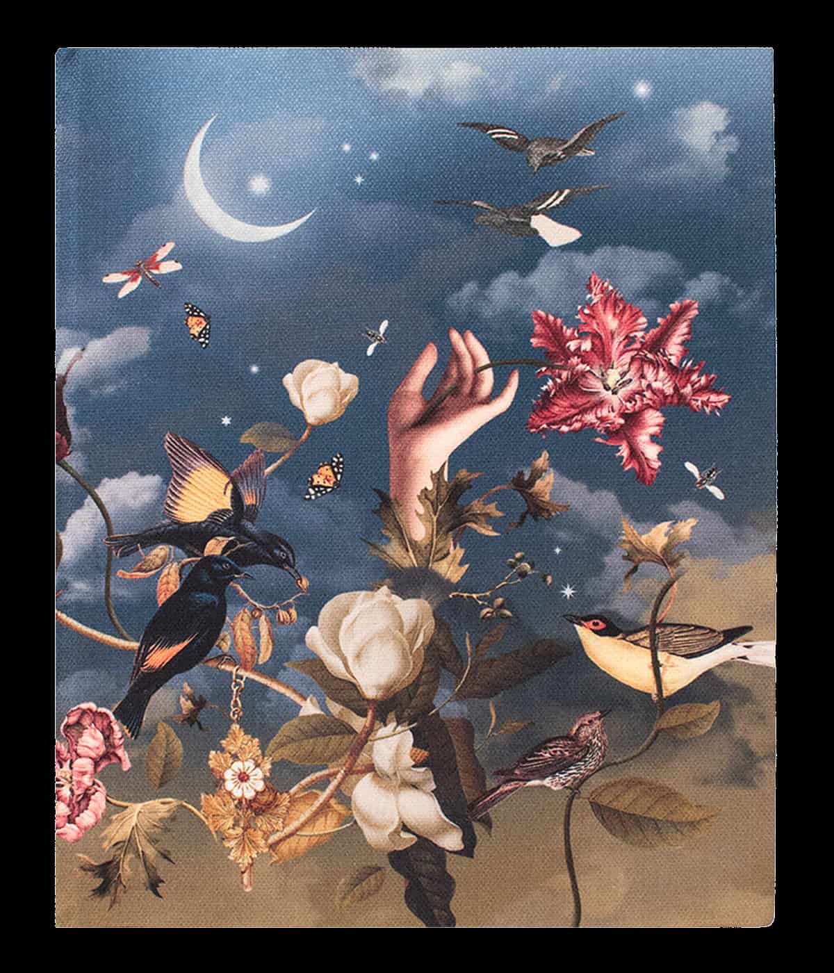 Agenda - Eden - miniatura 5