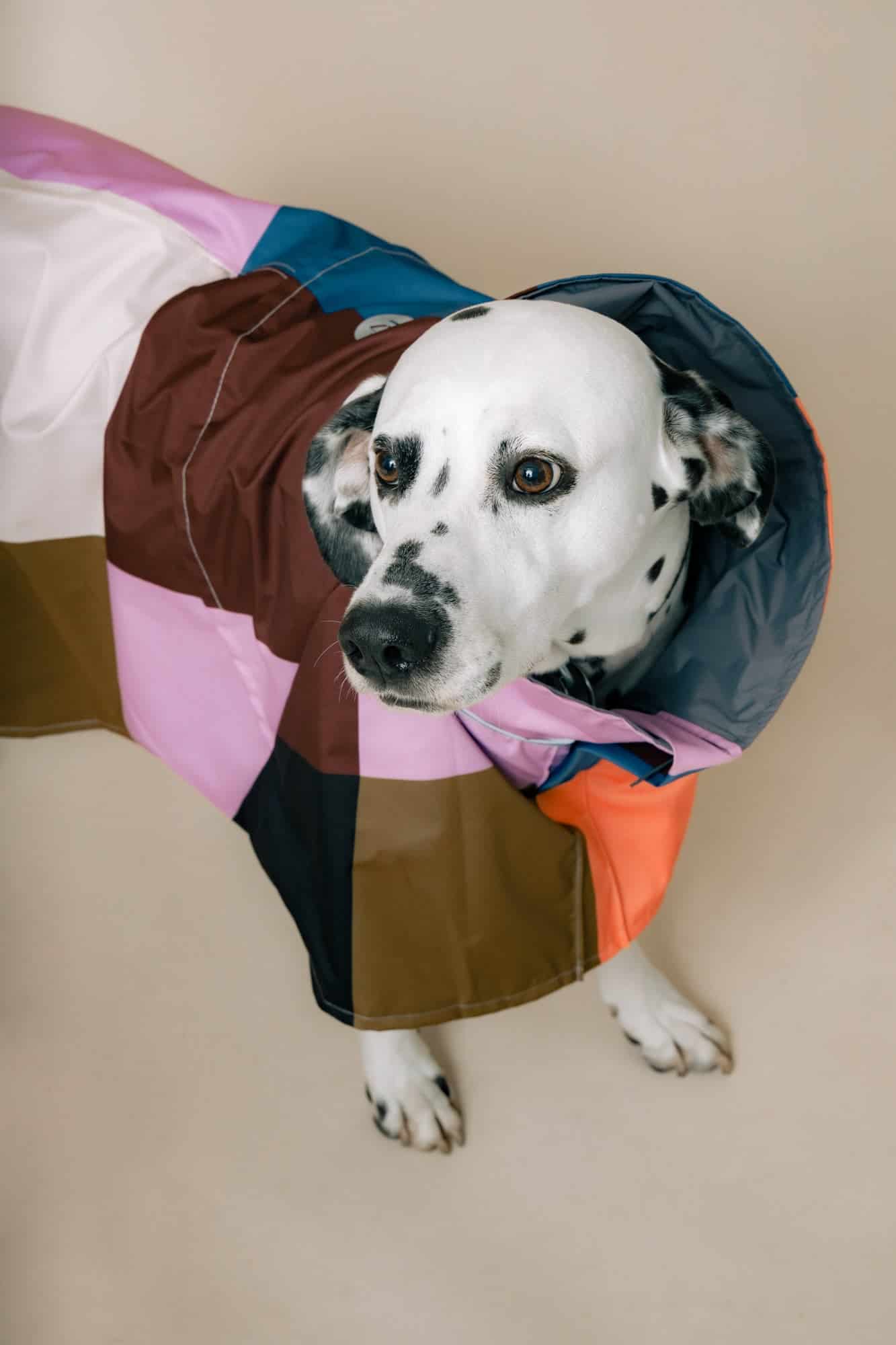 DOG´S RAINCOAT URBAN SPLASH - miniatura 3