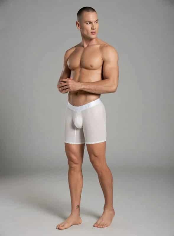 BOXER LARGO MICROFIBRA ZEUS


TALLA S - M - L - XL - miniatura 1