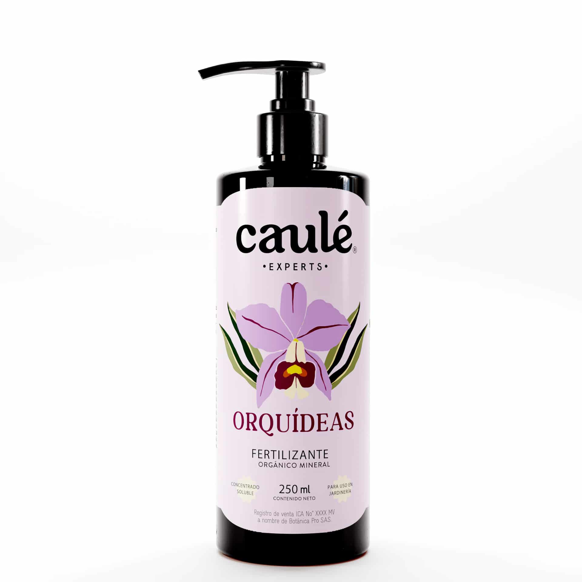 Caulé Orquídeas - miniatura 1