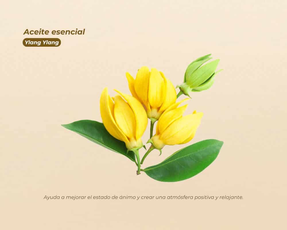 Aceites Esenciales 100% Puros para aromaterapia y bienestar - miniatura 13