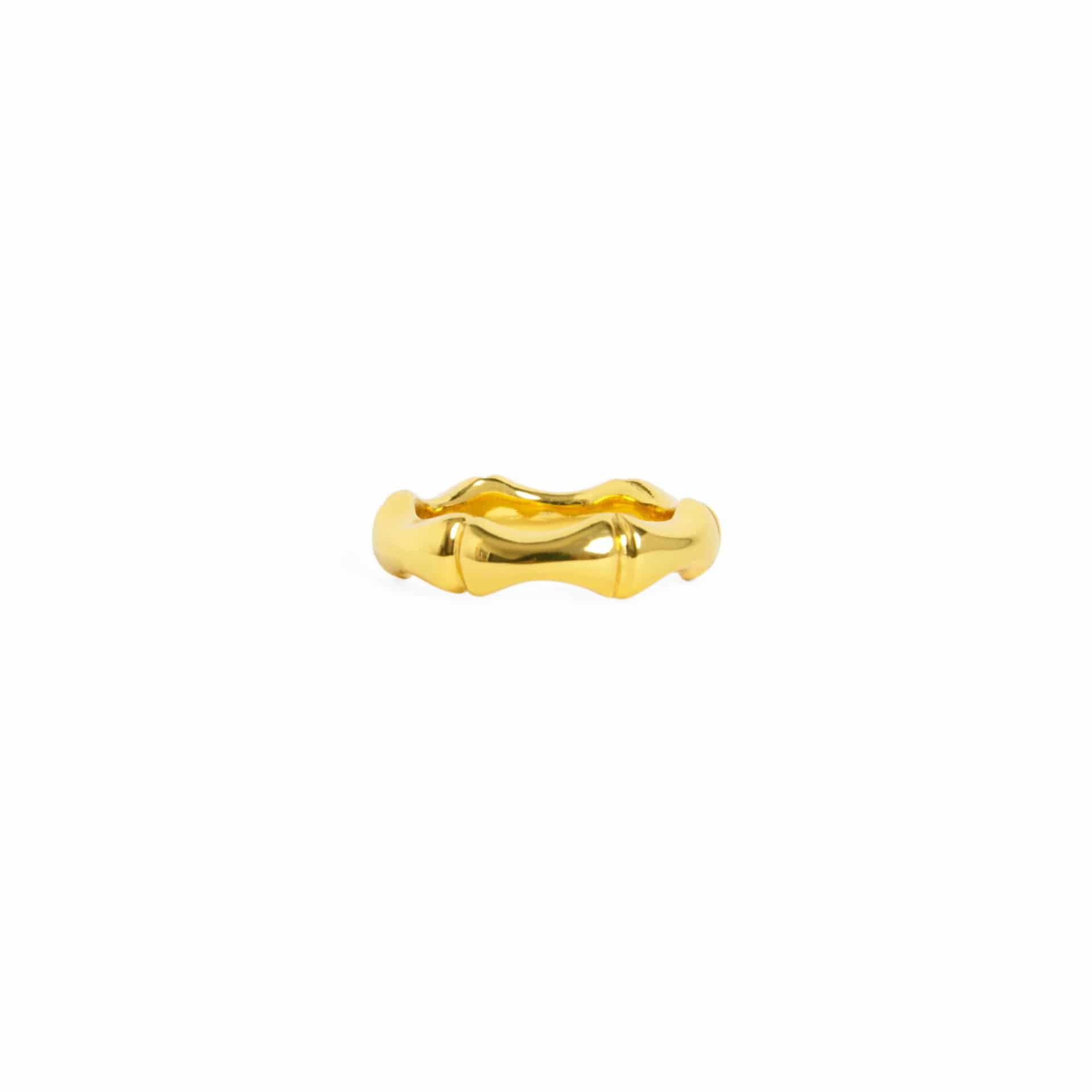Anillo Bamboo - miniatura 1