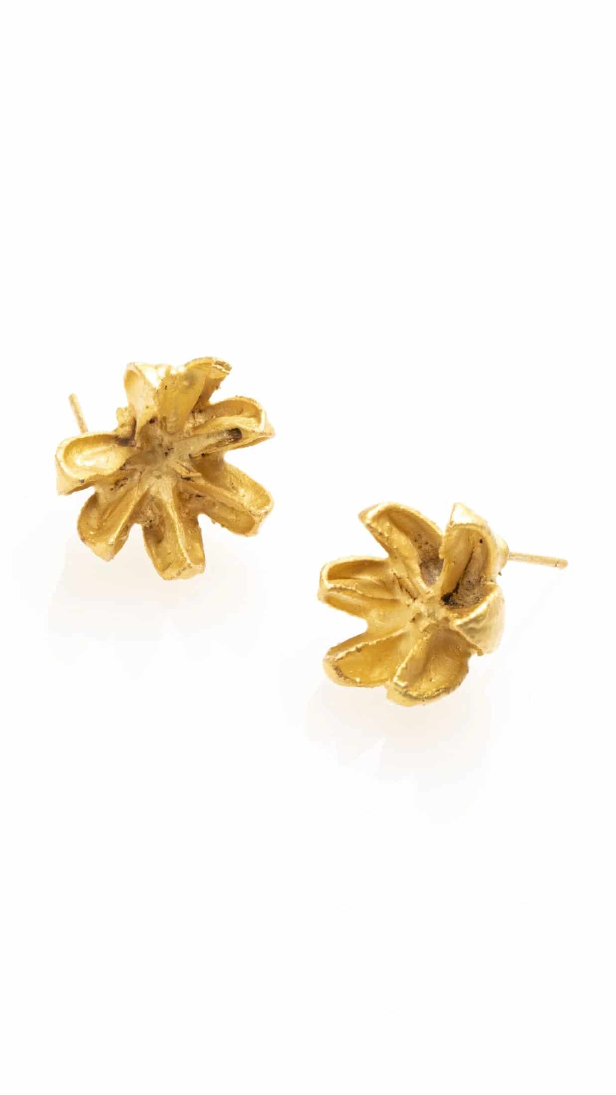 ARETES TOPOS SEMILLAS DE ENEBRO - miniatura 1