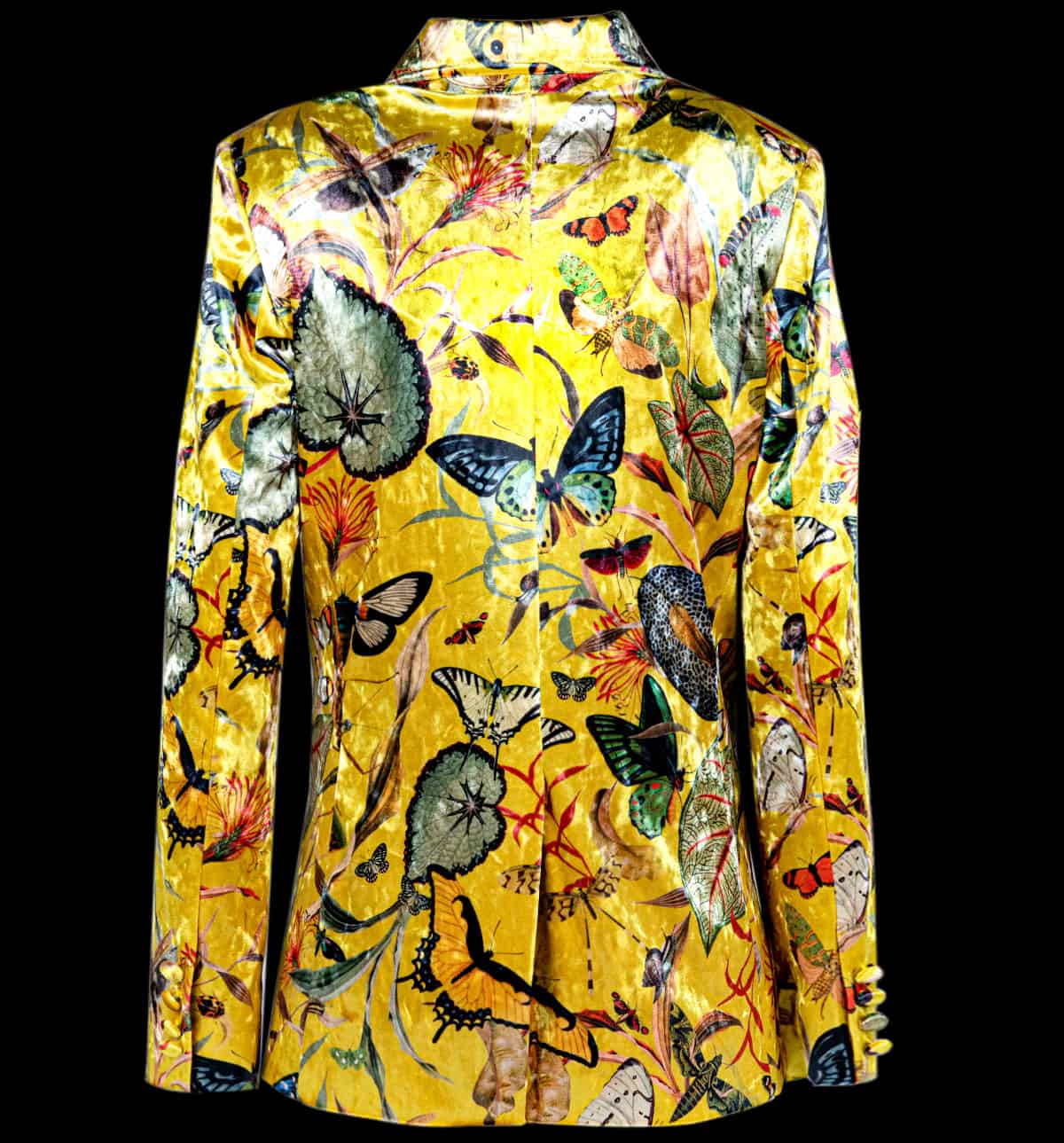 Blazer Terciopelo - Butterfly Yellow - miniatura 2