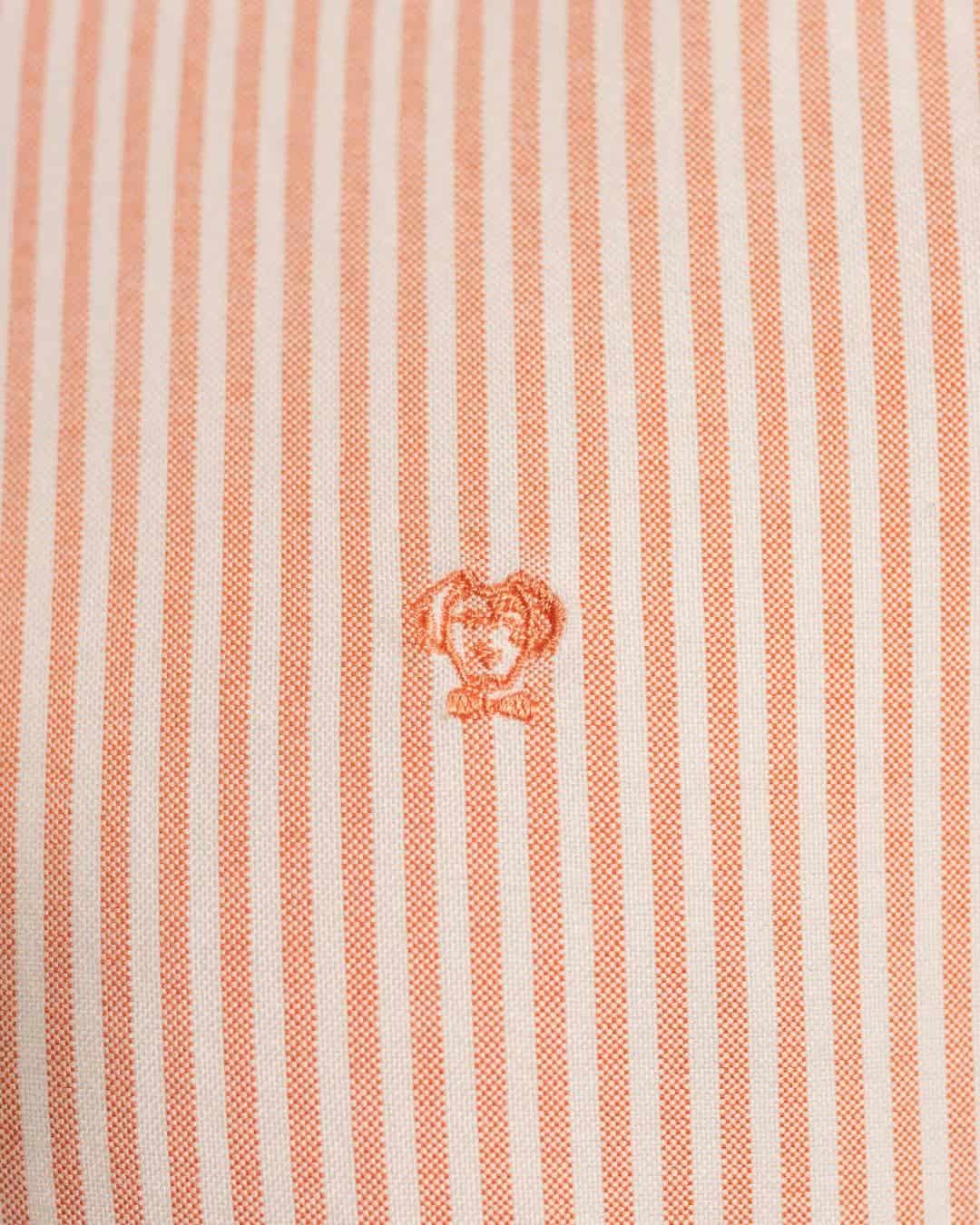 Camisa Antimanchas Oxford Rayas Coral - miniatura 6