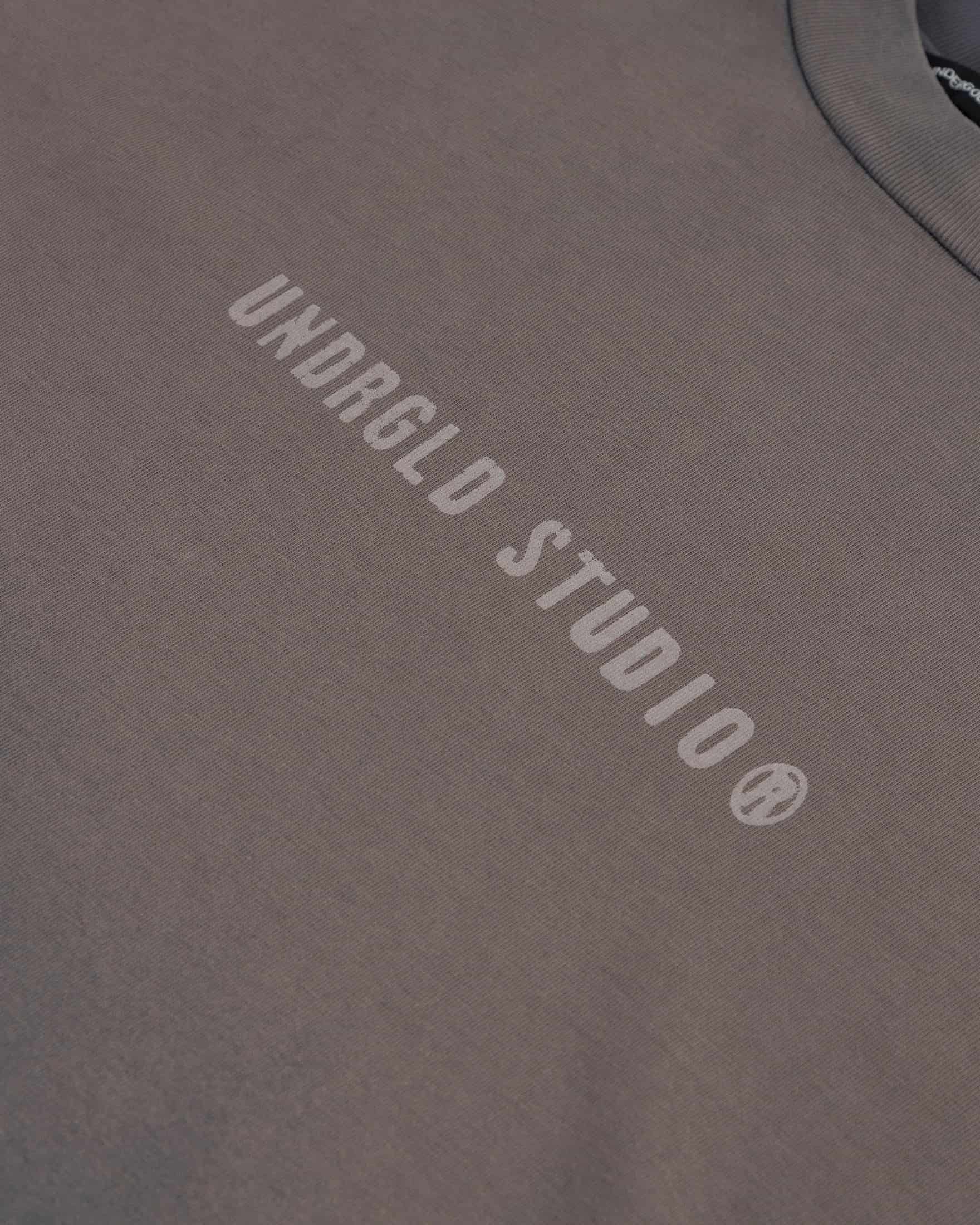 Spring Worn Logo Tshirt Sandblast Gray - miniatura 5