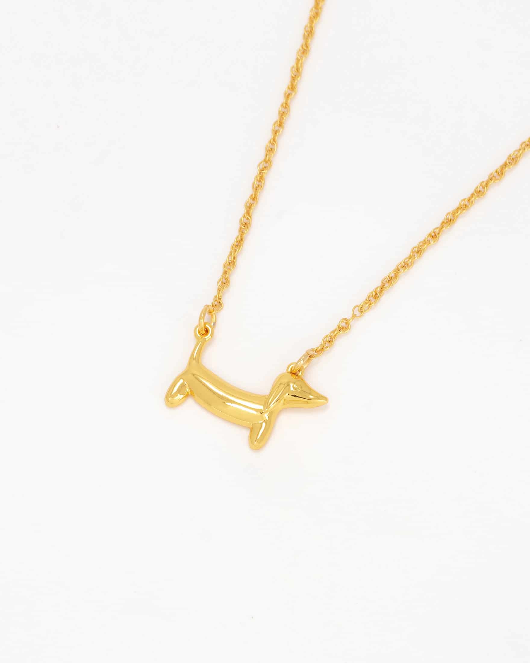 Collar Perro - miniatura 1