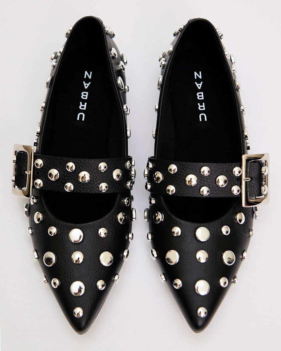 POINTER FLATS BLACK - miniatura 5