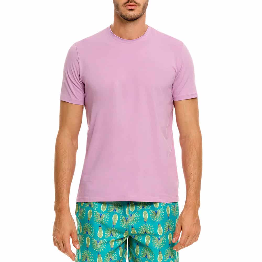 CAMISETA CUELLO REDONDO GORRIÓN MORADO - miniatura 1