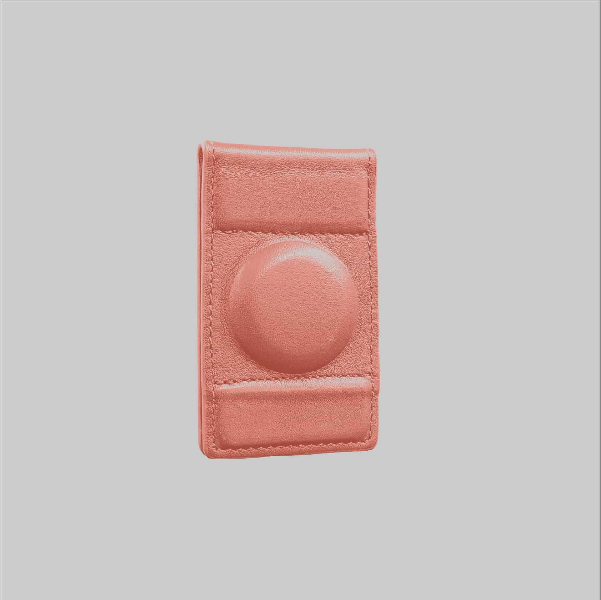 2 in 1 AirTag Money Clip - miniatura 25