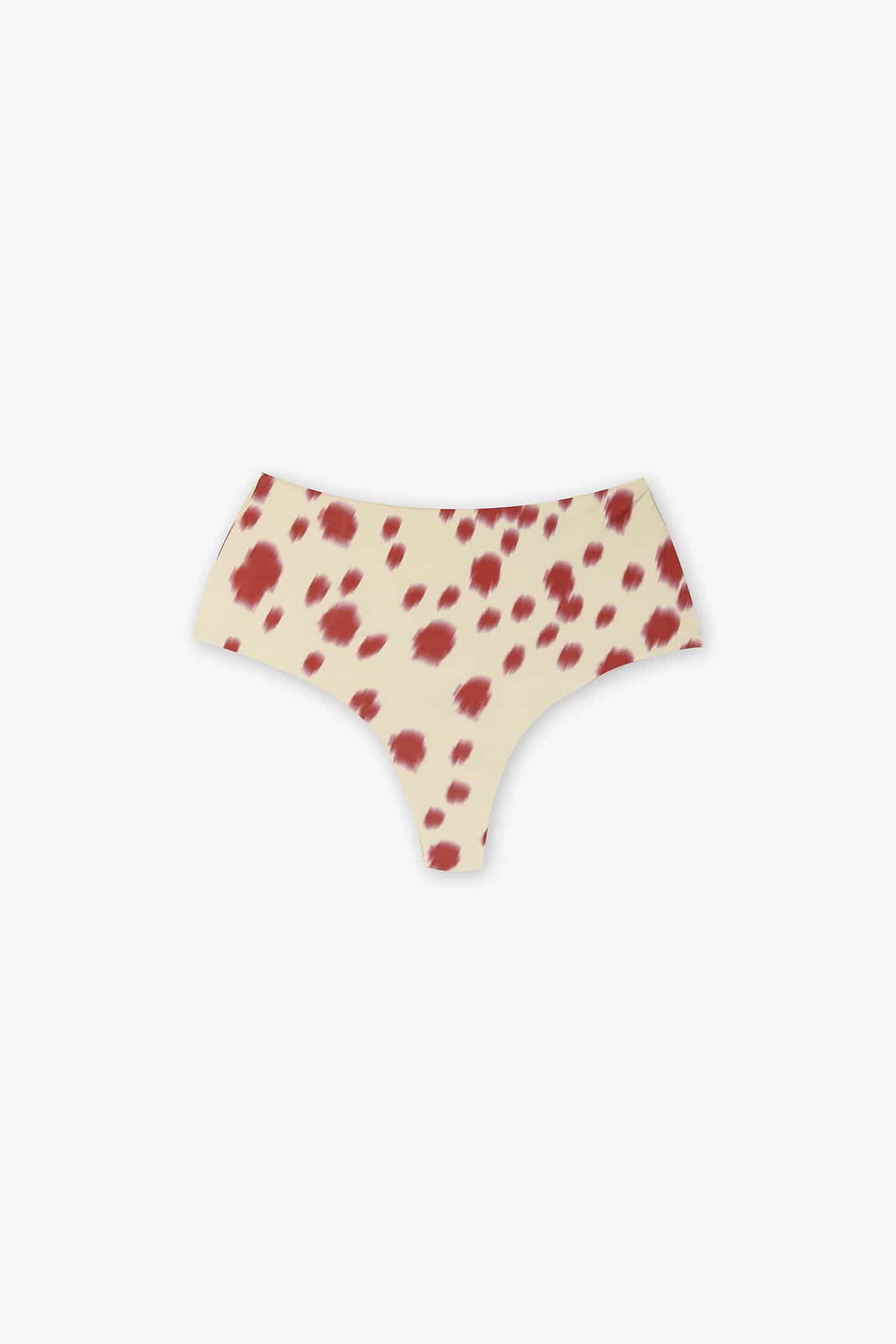 Bottom Bikini Concha - miniatura 7