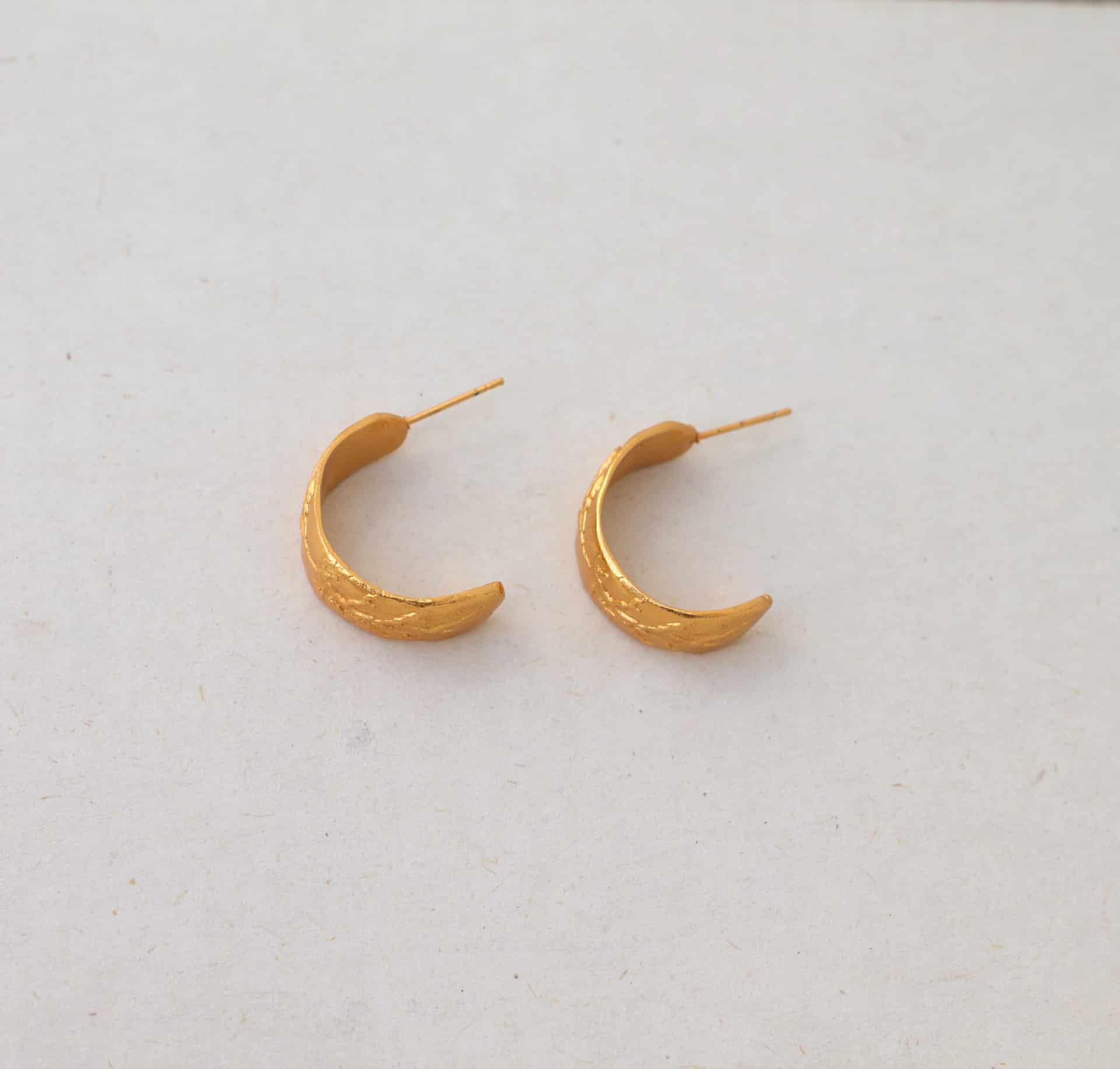 Candongas raíz y fruto - miniatura 3