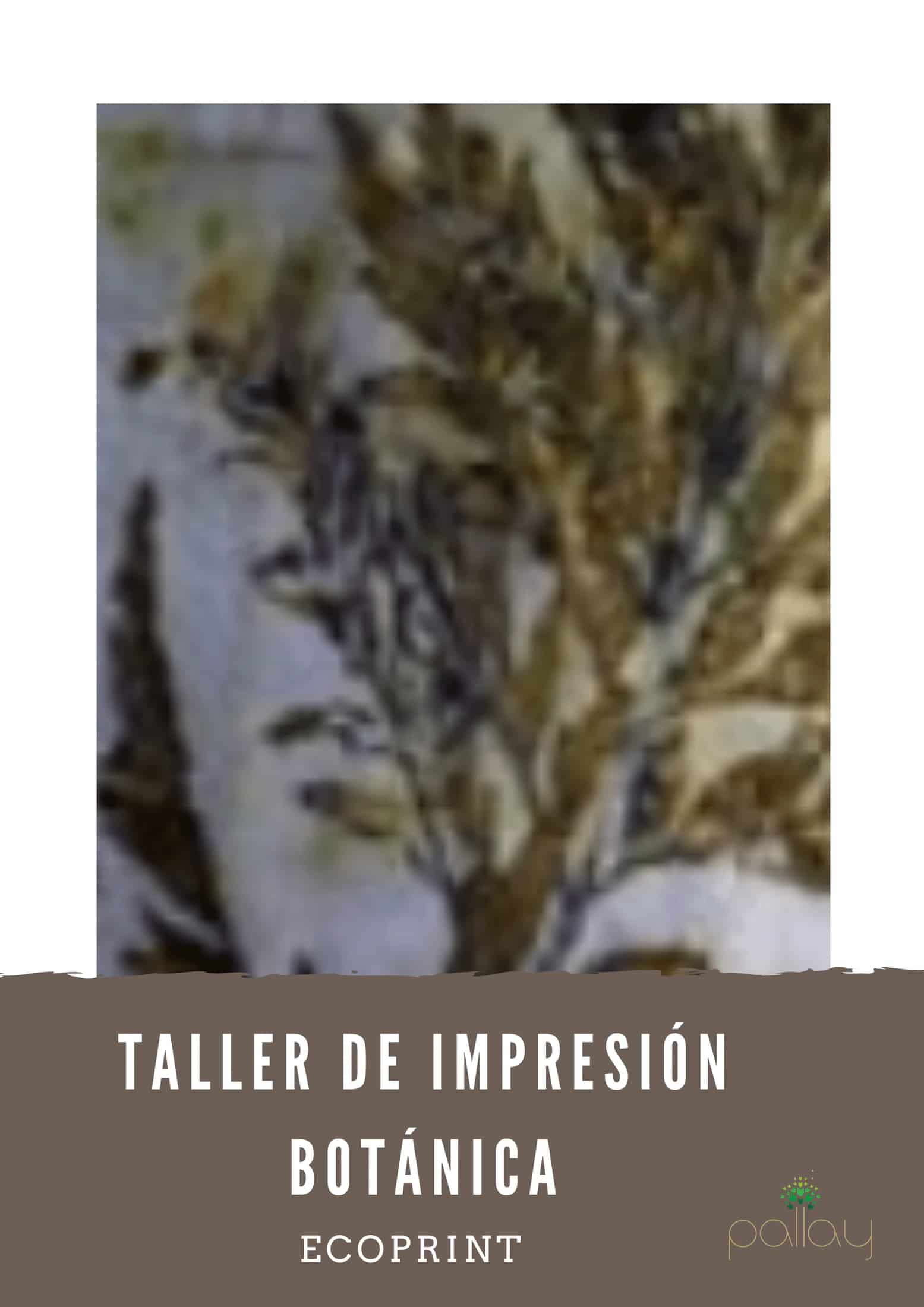 Taller de impresión Botánica textil - miniatura 1