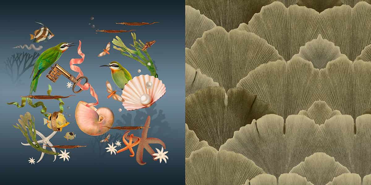 Cojin - Coralina - miniatura 2