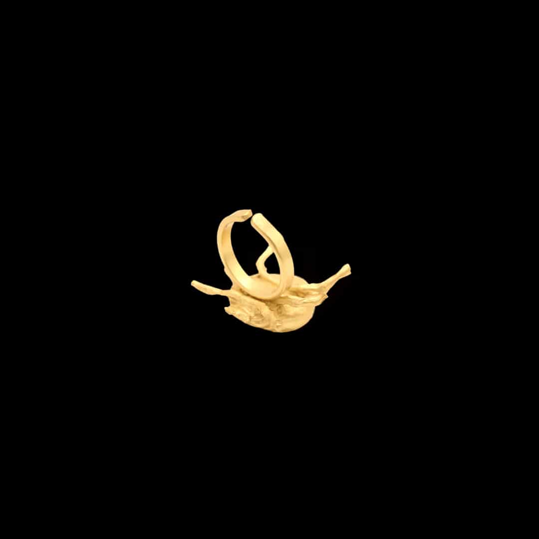 Anillo de mariquita pequeña - miniatura 2