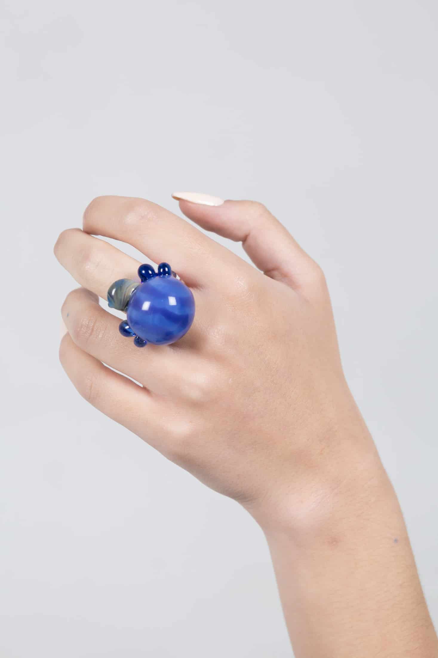 Escarabajo mora azul - miniatura 2