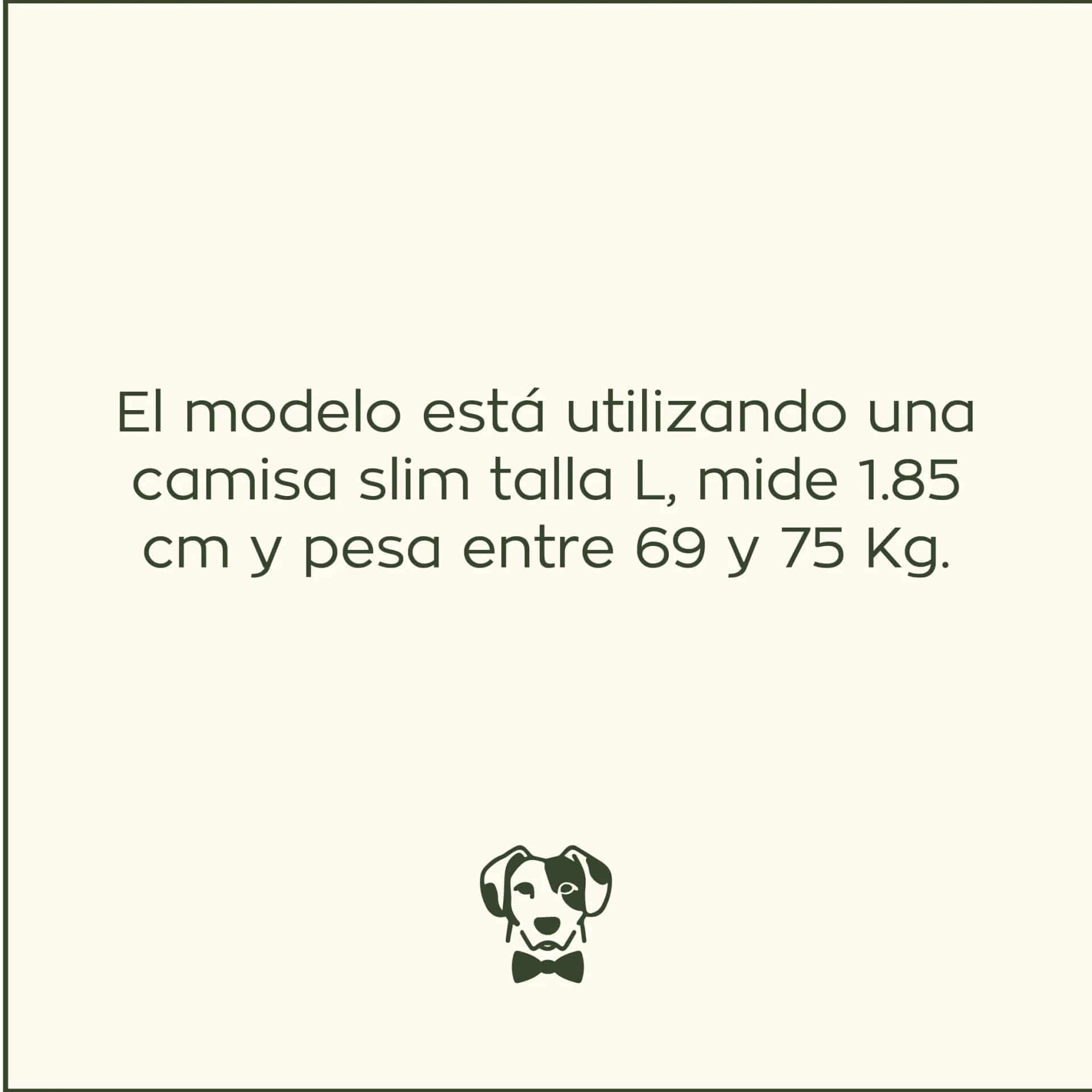 Camisa Antimanchas Oxford Gris - Talla Slim - miniatura 12