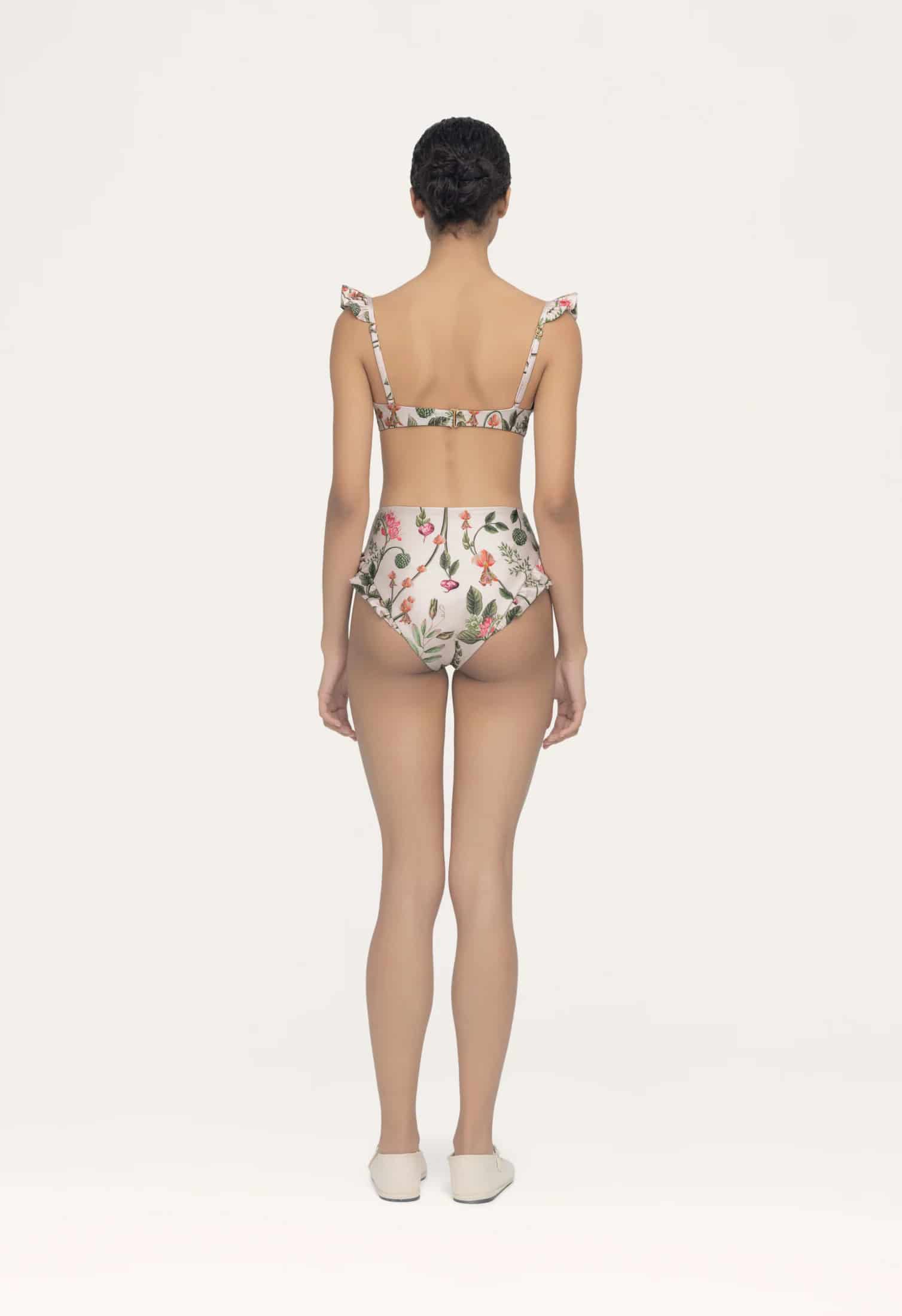 Jengibre Cultivo Bikini Bottom - miniatura 8