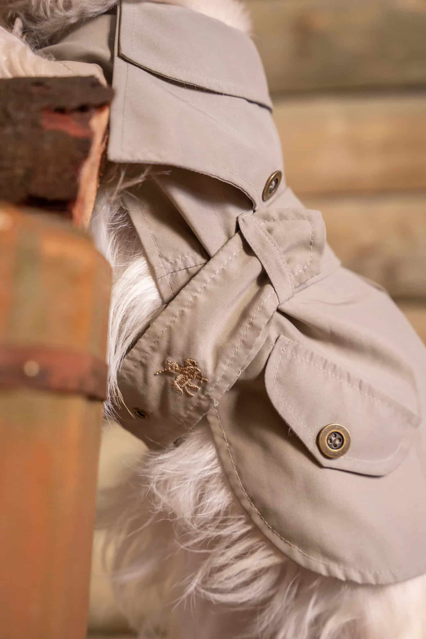 Trench Perro Beige Oscuro - miniatura 4
