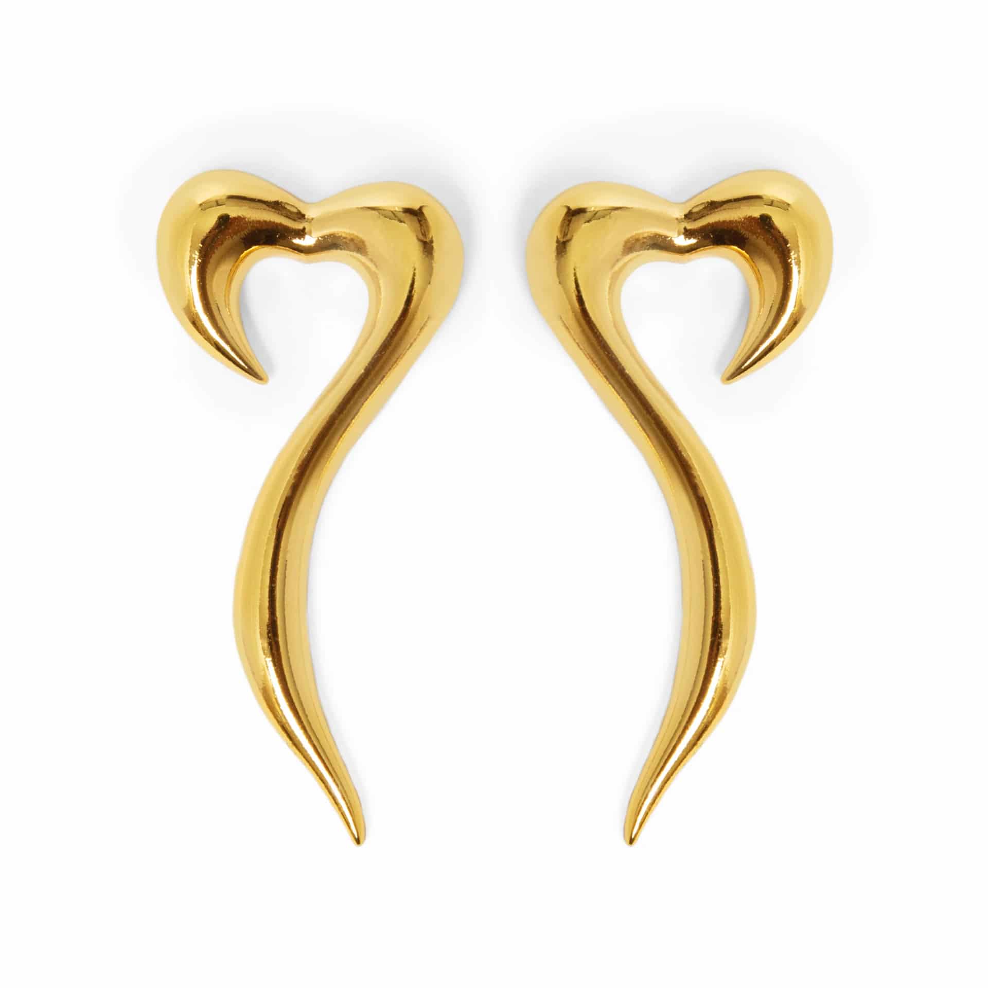 Aretes Elogio (Maxi: largo 5.5cm) - miniatura 9