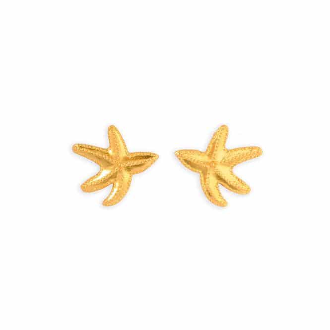 Topo Estrella De Mar - miniatura 1