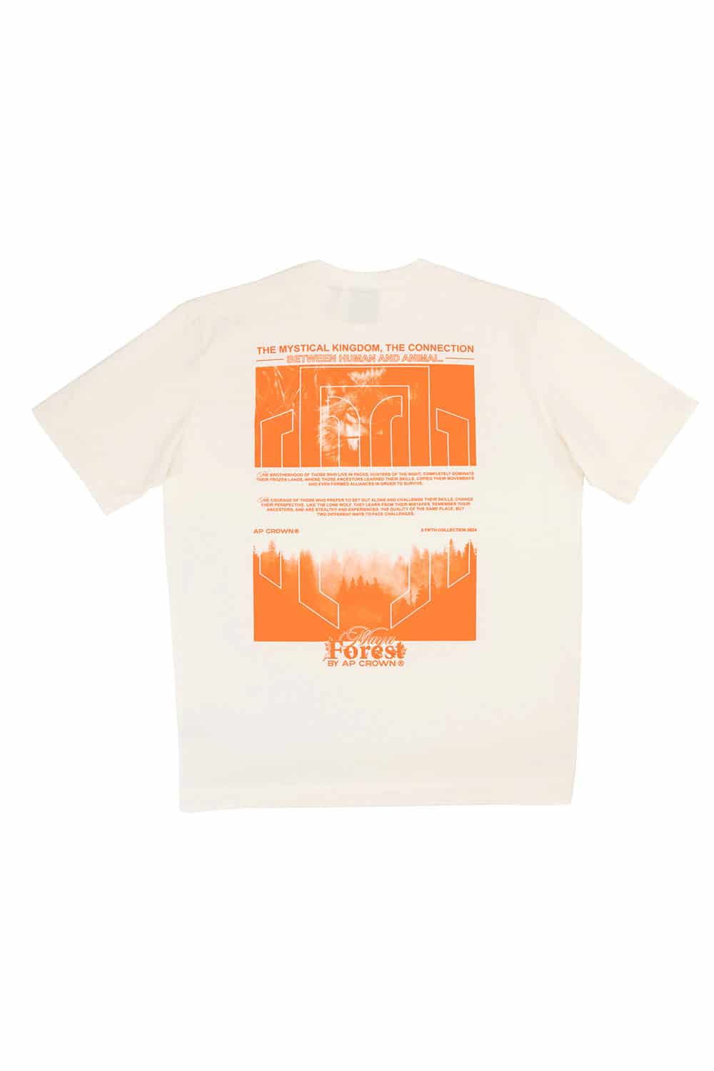 VEILED T-SHIRT - miniatura 4