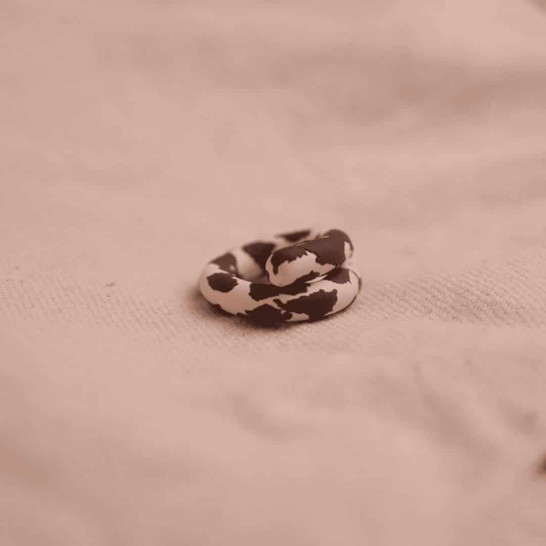 Anillo Isa Cow Print - miniatura 2