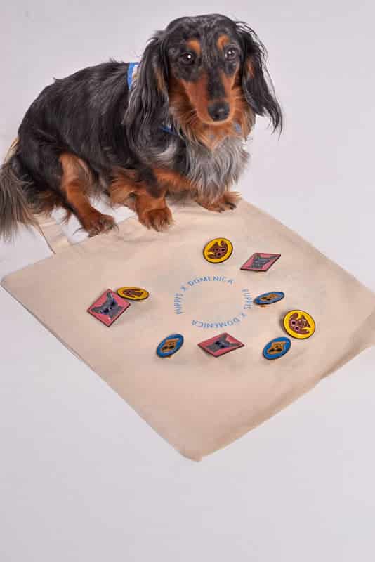 PINES PERROS - miniatura 1