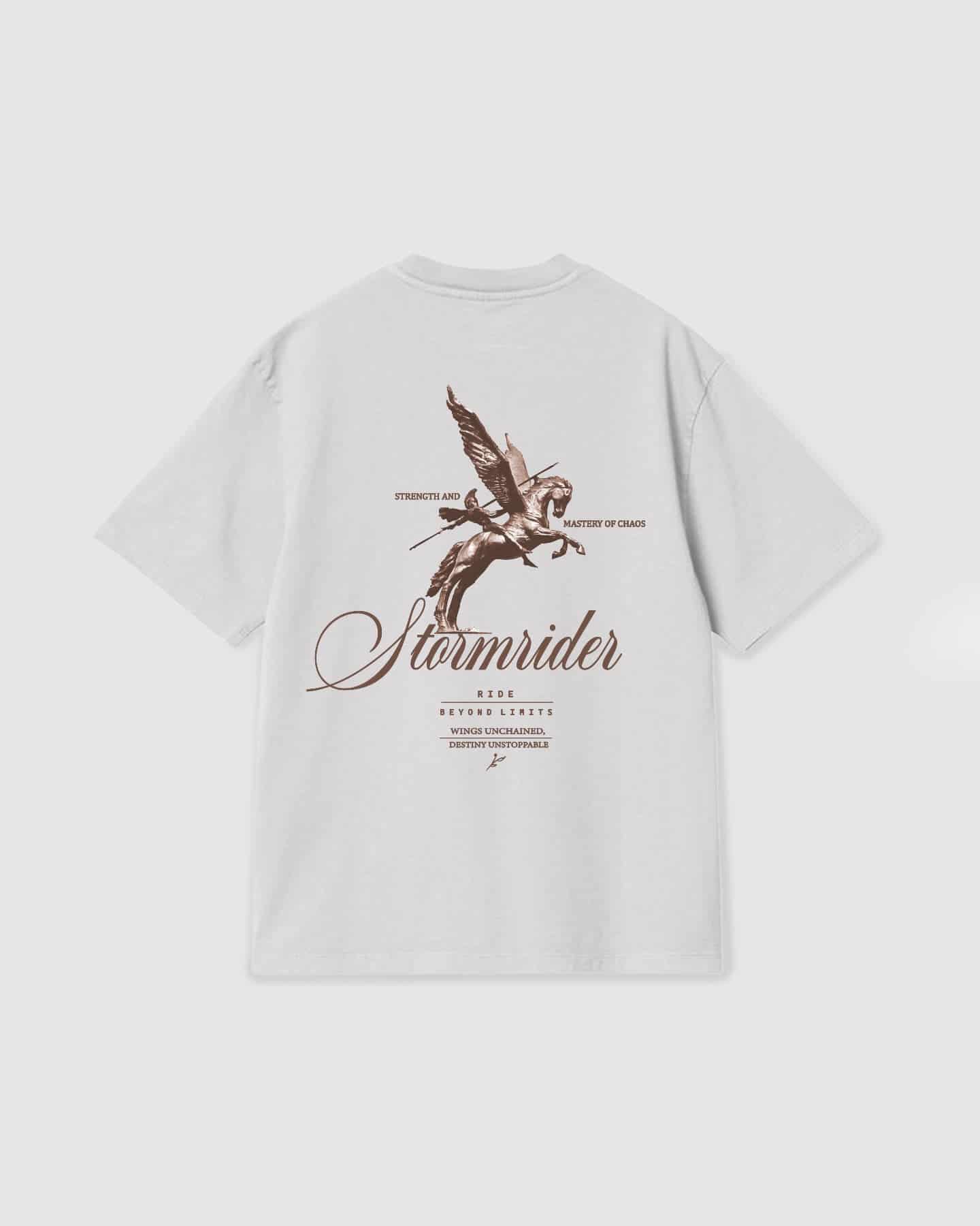 Oversized T Shirt Stormrider White - miniatura 1