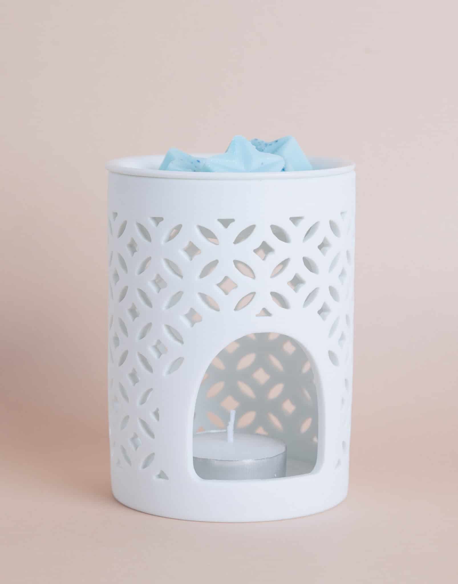 KIT WAX MELTS (Aromatiza tus espacios de forma intensa y rápida) - miniatura 1