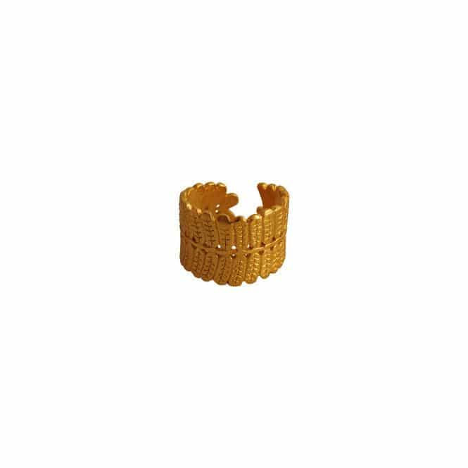 Anillo hoja Dividivi, Brillo Guajiro - miniatura 1