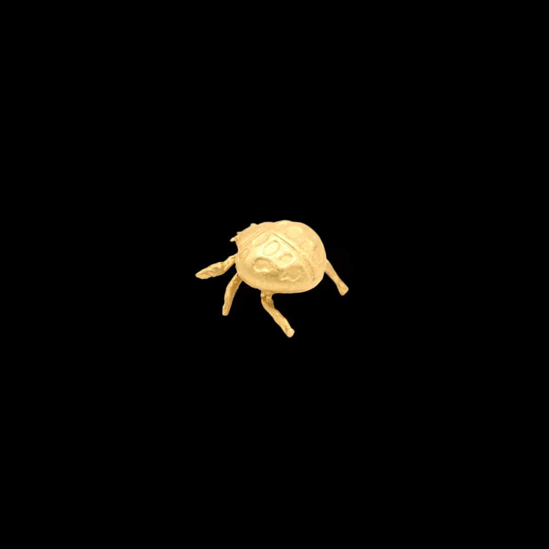 Pin de mariquita pequeña - miniatura 2
